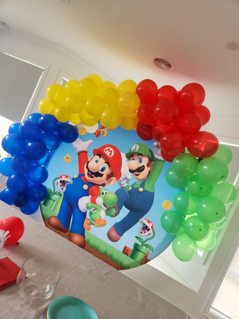 Mario Brothers Picnic Package